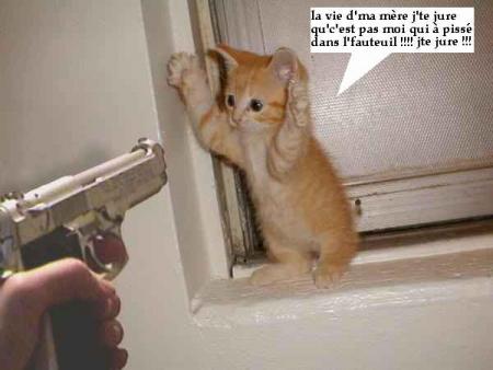 oh les pattes